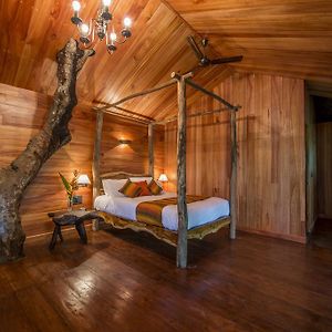 Woodpecker Tree House